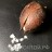 Павловния войлочная, Paulownia tomentosa - Павловния, Paulownia, плод и семена.