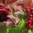 Калина красная, Viburnum opulus - Viburnum_opulus_berry_2g9mt.jpg